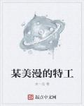 某美漫的特工