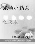 寵物小精靈之天灰