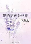 我的男神是學霸