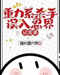 重力係殺手誤入忍界記實錄